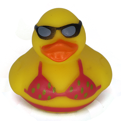 Photo of Splashaway Duck