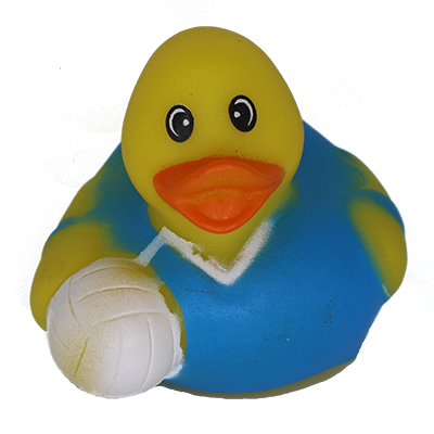 Photo of Volleyduck