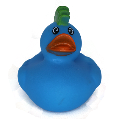 Photo of Marimoduck